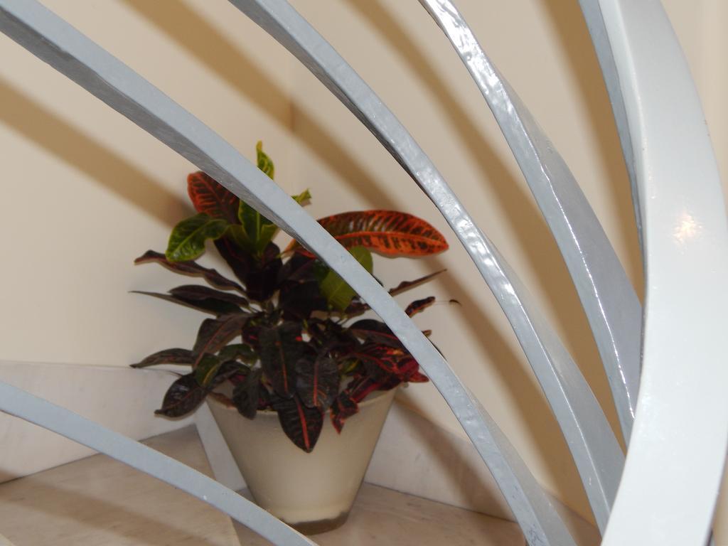 Athens Plaka Paul'S House Apartment ภายนอก รูปภาพ